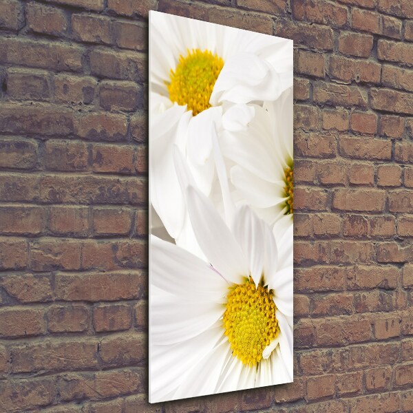 Cuadro decorativo en cristal con canto pulido vertical margaritas