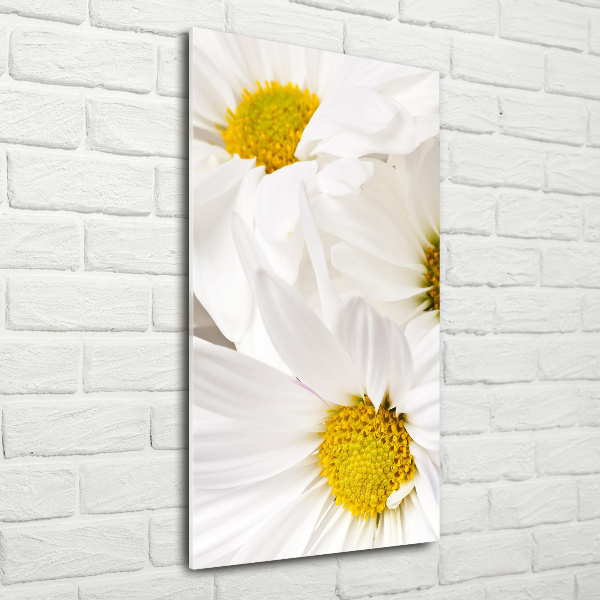 Cuadro decorativo en cristal con canto pulido vertical margaritas