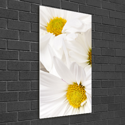 Cuadro decorativo en cristal con canto pulido vertical margaritas