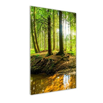 Fotocuadro de cristal elegante para hogar vertical Un arroyo en el bosque