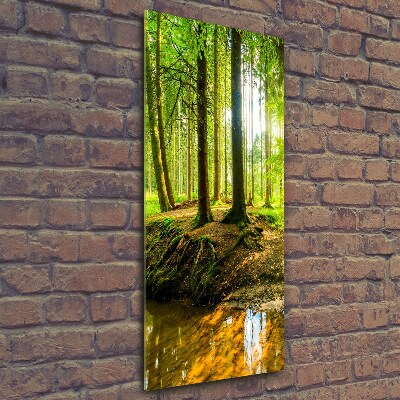 Fotocuadro de cristal elegante para hogar vertical Un arroyo en el bosque