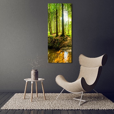 Fotocuadro de cristal elegante para hogar vertical Un arroyo en el bosque