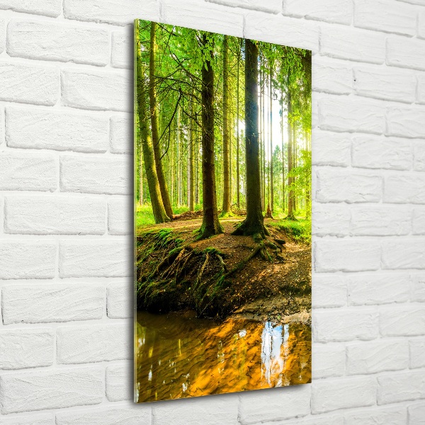 Fotocuadro de cristal elegante para hogar vertical Un arroyo en el bosque