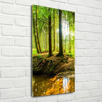 Fotocuadro de cristal elegante para hogar vertical Un arroyo en el bosque