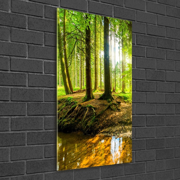 Fotocuadro de cristal elegante para hogar vertical Un arroyo en el bosque