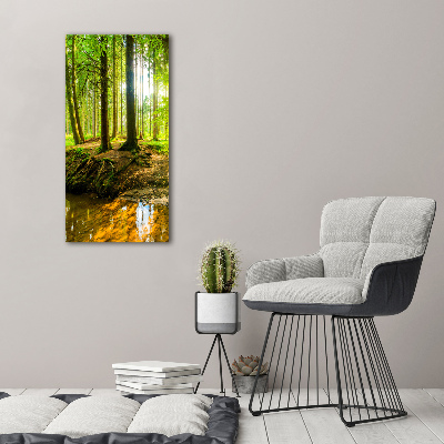 Fotocuadro de cristal elegante para hogar vertical Un arroyo en el bosque
