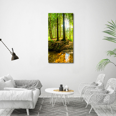 Fotocuadro de cristal elegante para hogar vertical Un arroyo en el bosque