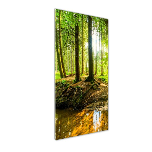 Fotocuadro de cristal elegante para hogar vertical Un arroyo en el bosque