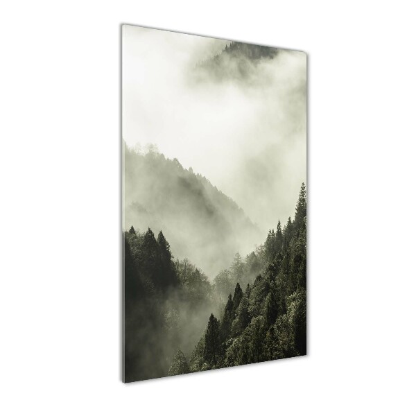 Cuadro decorativo en cristal con canto pulido vertical Niebla sobre el bosque