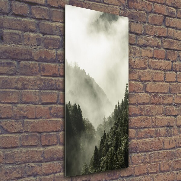 Cuadro decorativo en cristal con canto pulido vertical Niebla sobre el bosque