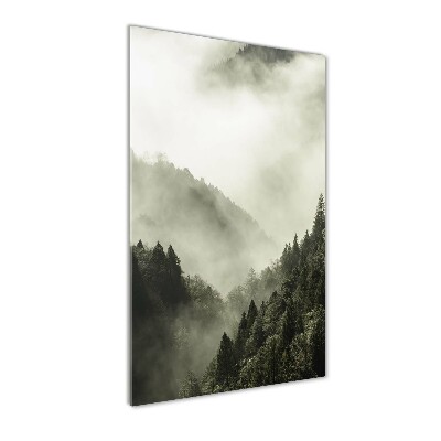 Cuadro decorativo en cristal con canto pulido vertical Niebla sobre el bosque