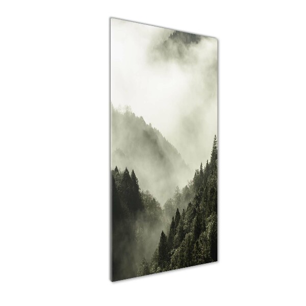 Cuadro decorativo en cristal con canto pulido vertical Niebla sobre el bosque