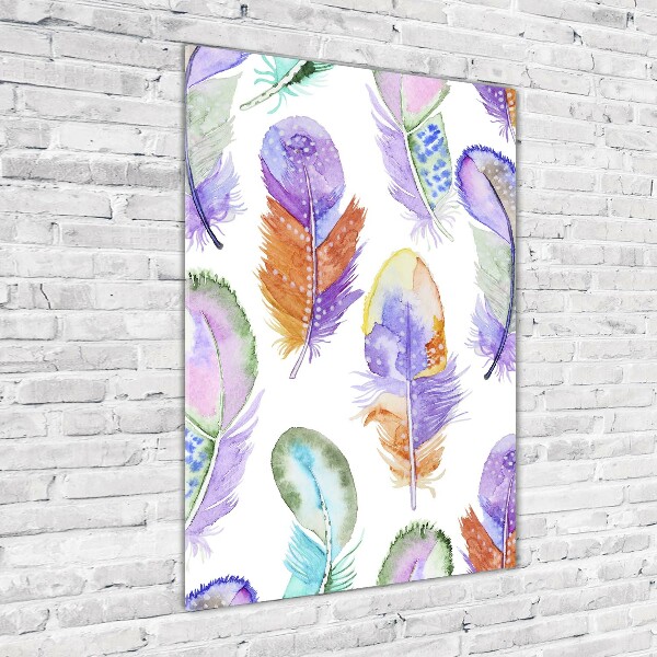 Cuadro de cristal moderno efecto brillo vertical Plumas de colores