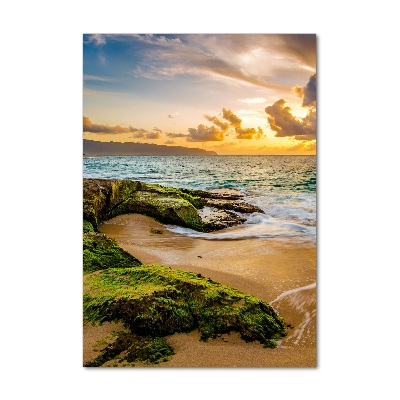 Cuadro de vidrio templado 4mm para pared vertical Mar al atardecer