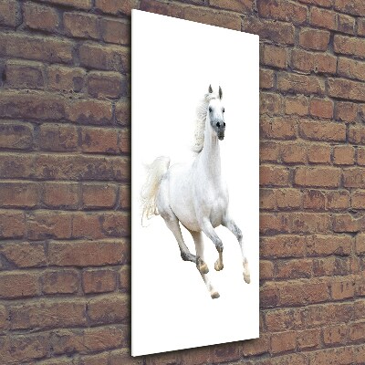Fotocuadro de cristal elegante para hogar vertical Un caballo blanco galopando
