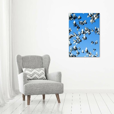 Cuadro de vidrio templado 4mm para pared vertical Palomas en el cielo