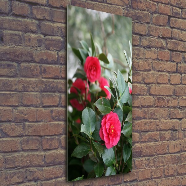 Cuadro de cristal moderno efecto brillo vertical Camelia