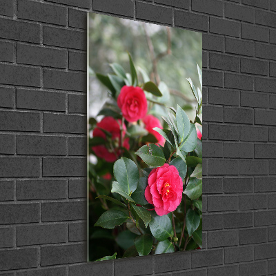 Cuadro de cristal moderno efecto brillo vertical Camelia