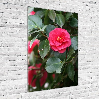 Cuadro de cristal moderno efecto brillo vertical Camelia