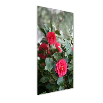 Cuadro de cristal moderno efecto brillo vertical Camelia