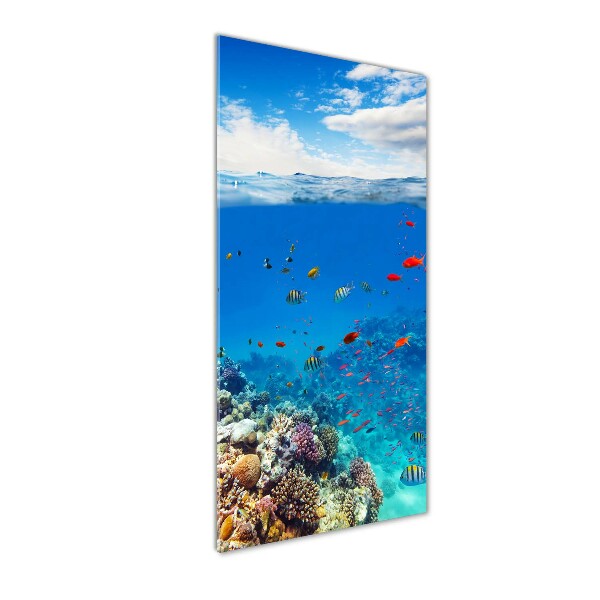 Cuadro de vidrio templado 4mm para pared vertical Arrecife de coral