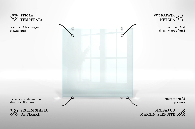 Salpicadero de cocina transparente 