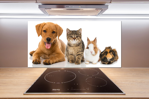 Panel para cocina Perro y gato