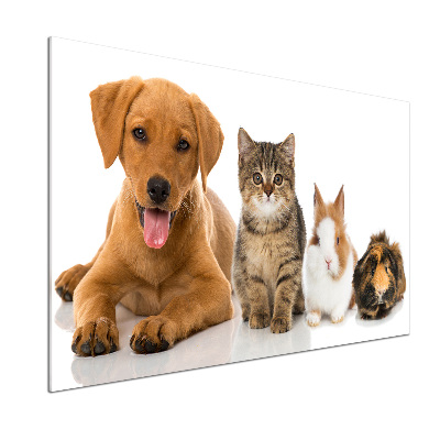 Panel para cocina Perro y gato