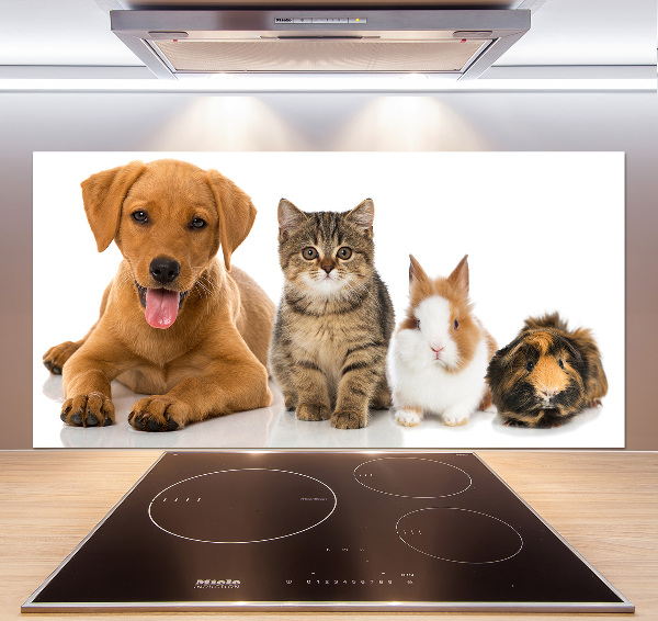 Panel para cocina Perro y gato