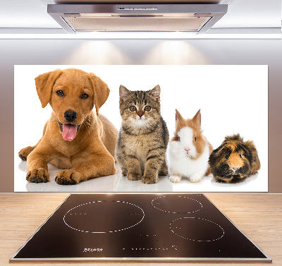 Panel para cocina Perro y gato