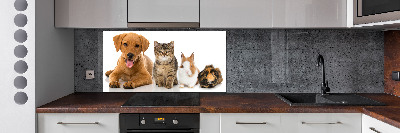 Panel para cocina Perro y gato