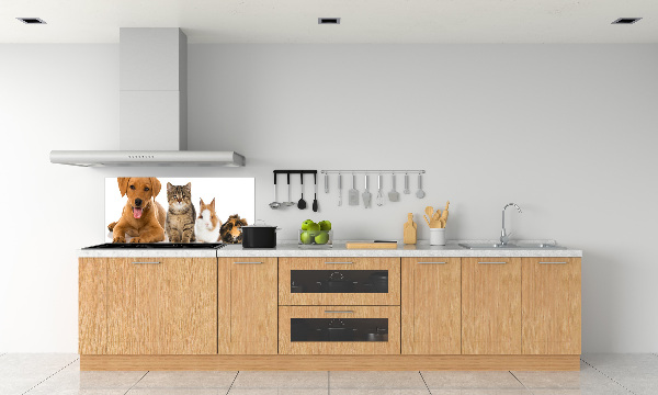 Panel para cocina Perro y gato