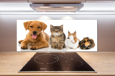Panel para cocina Perro y gato