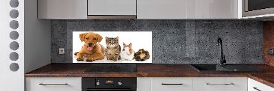 Panel para cocina Perro y gato