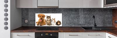 Panel para cocina Perro y gato