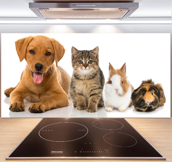 Panel para cocina Perro y gato