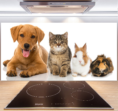 Panel para cocina Perro y gato