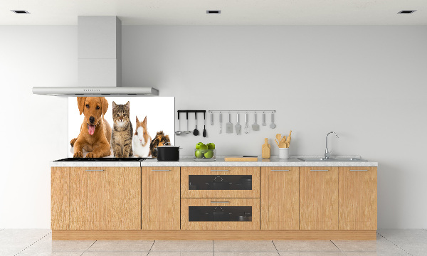 Panel para cocina Perro y gato