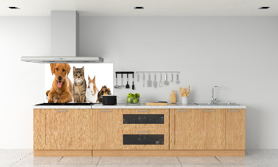 Panel para cocina Perro y gato