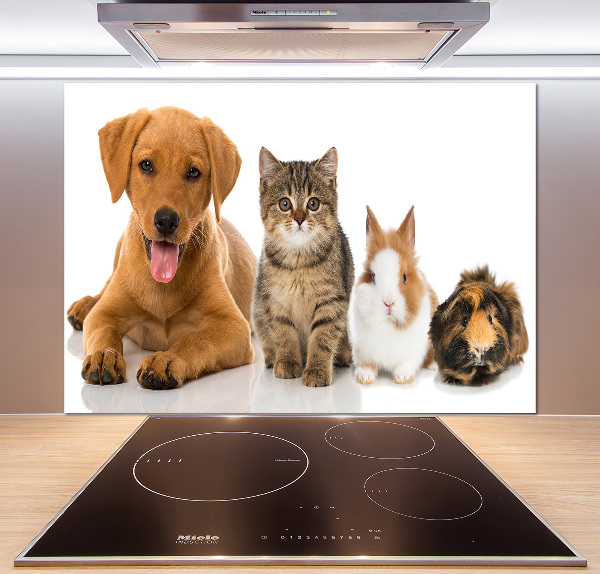 Panel para cocina Perro y gato