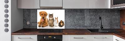 Panel para cocina Perro y gato