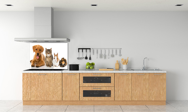 Panel para cocina Perro y gato