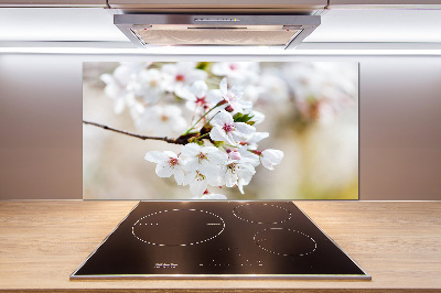 Panel dekor szkło Kwiaty wiśni