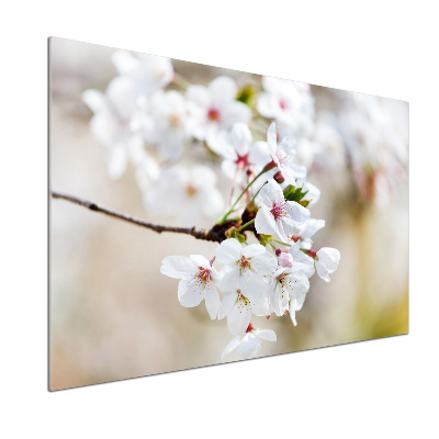 Salpicadero de cocina flores de cerezo