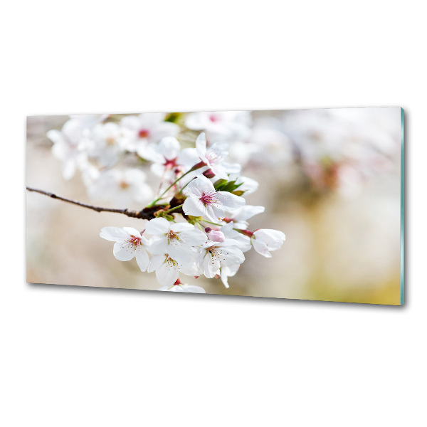 Salpicadero de cocina flores de cerezo