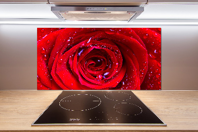 Panel antisalpicaduras Flor de rosa