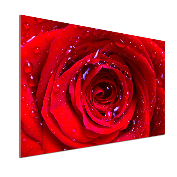 Panel antisalpicaduras Flor de rosa