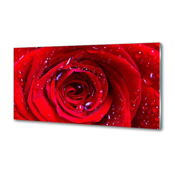 Panel antisalpicaduras Flor de rosa