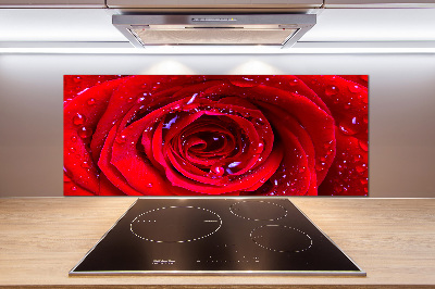 Panel antisalpicaduras Flor de rosa