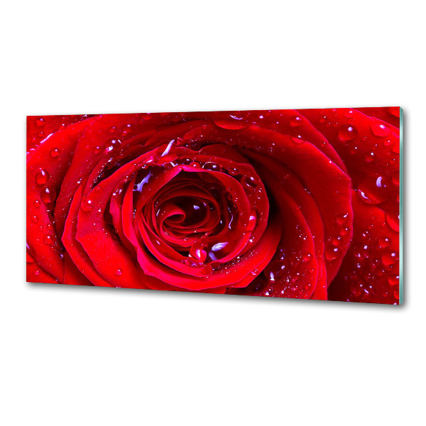 Panel antisalpicaduras Flor de rosa